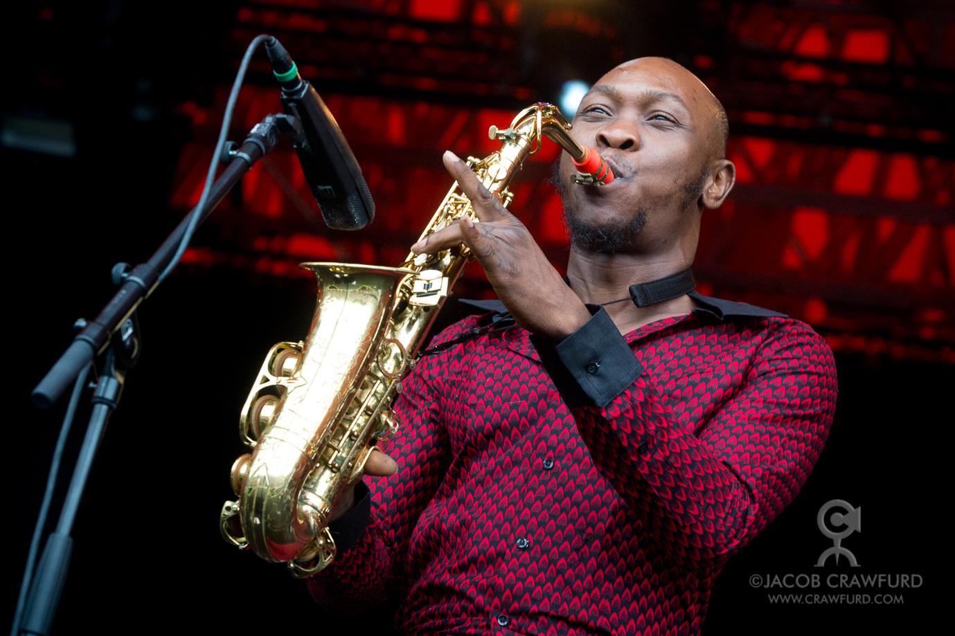 Seun Kuti ft. Yasiin Bey (Nigeria), Orange © Photo: Jacob Crawfurd